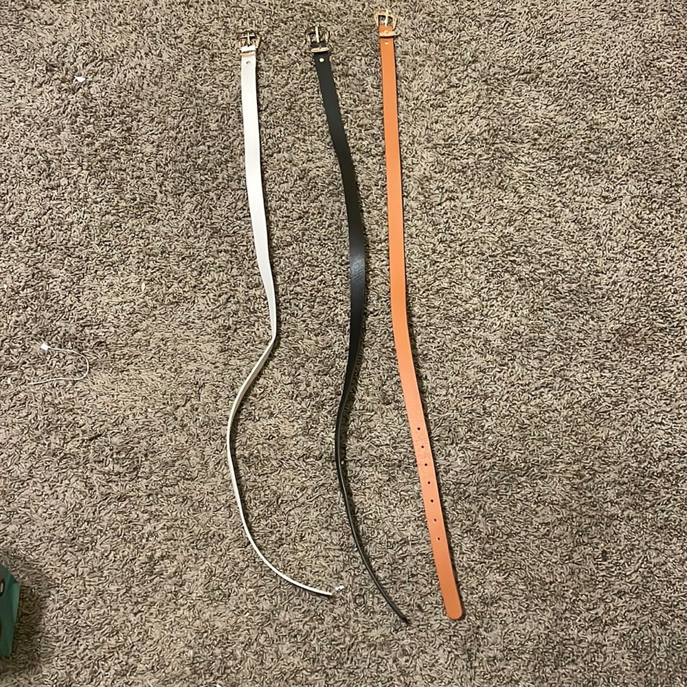 MULTICOLOR BELTS